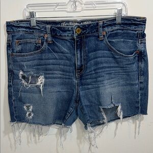 American Eagle Outfitters Distressed Blue Jean Shorts